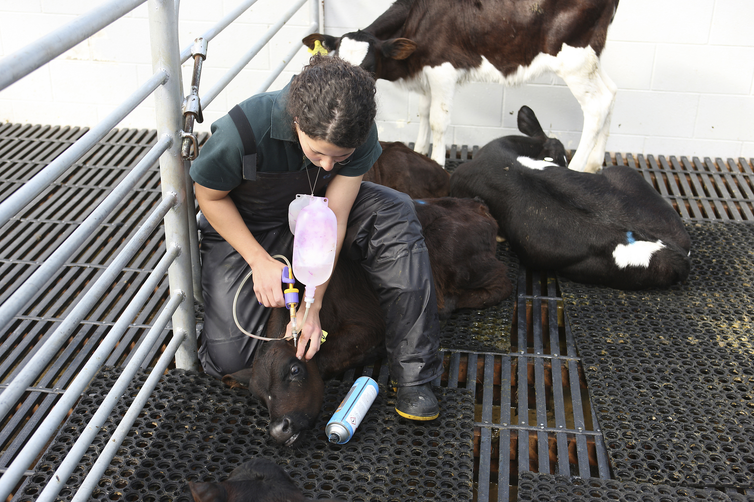 Keeping Up to Date is Easy